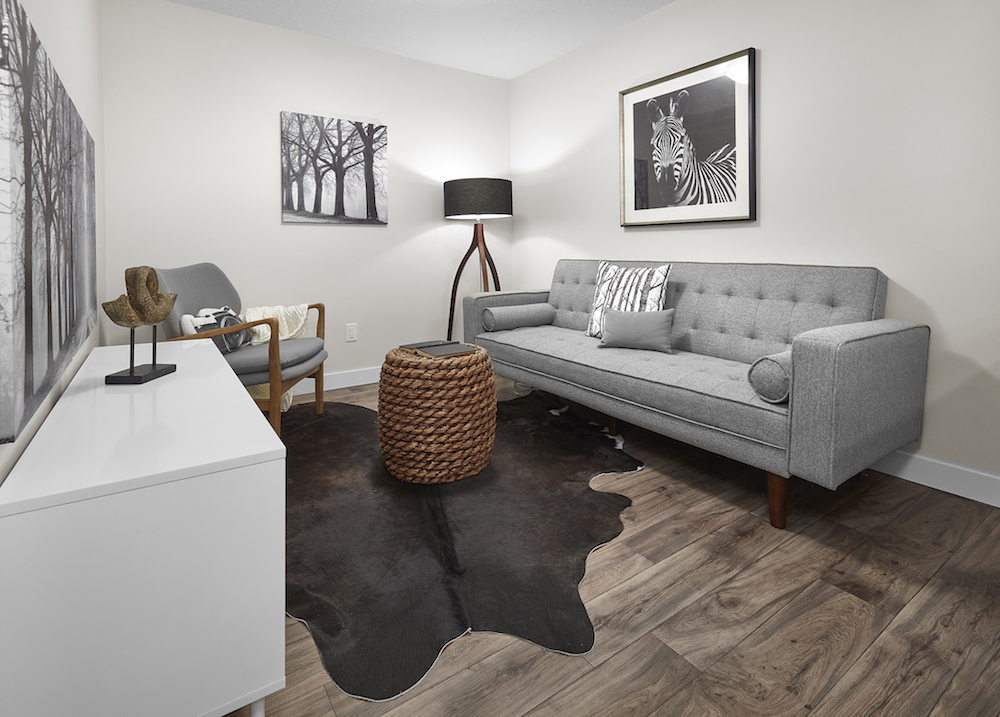 a furnished basement suite
